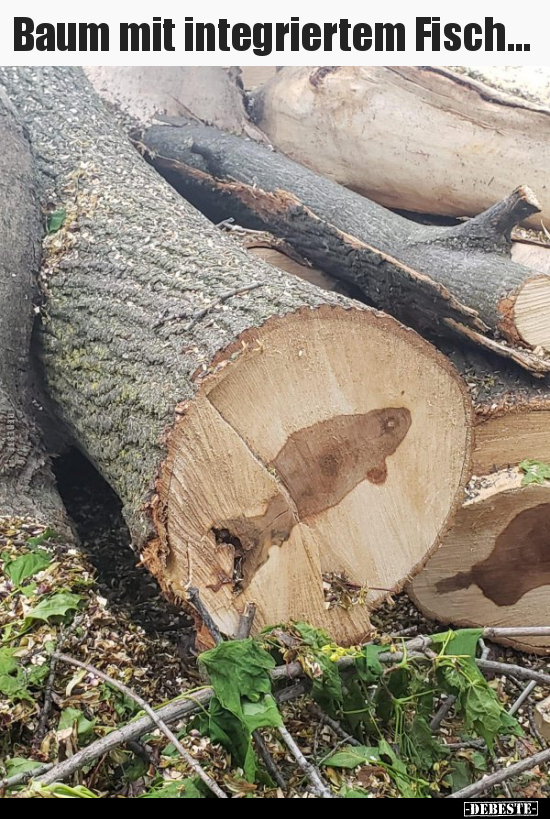 Baum mit integriertem Fisch...