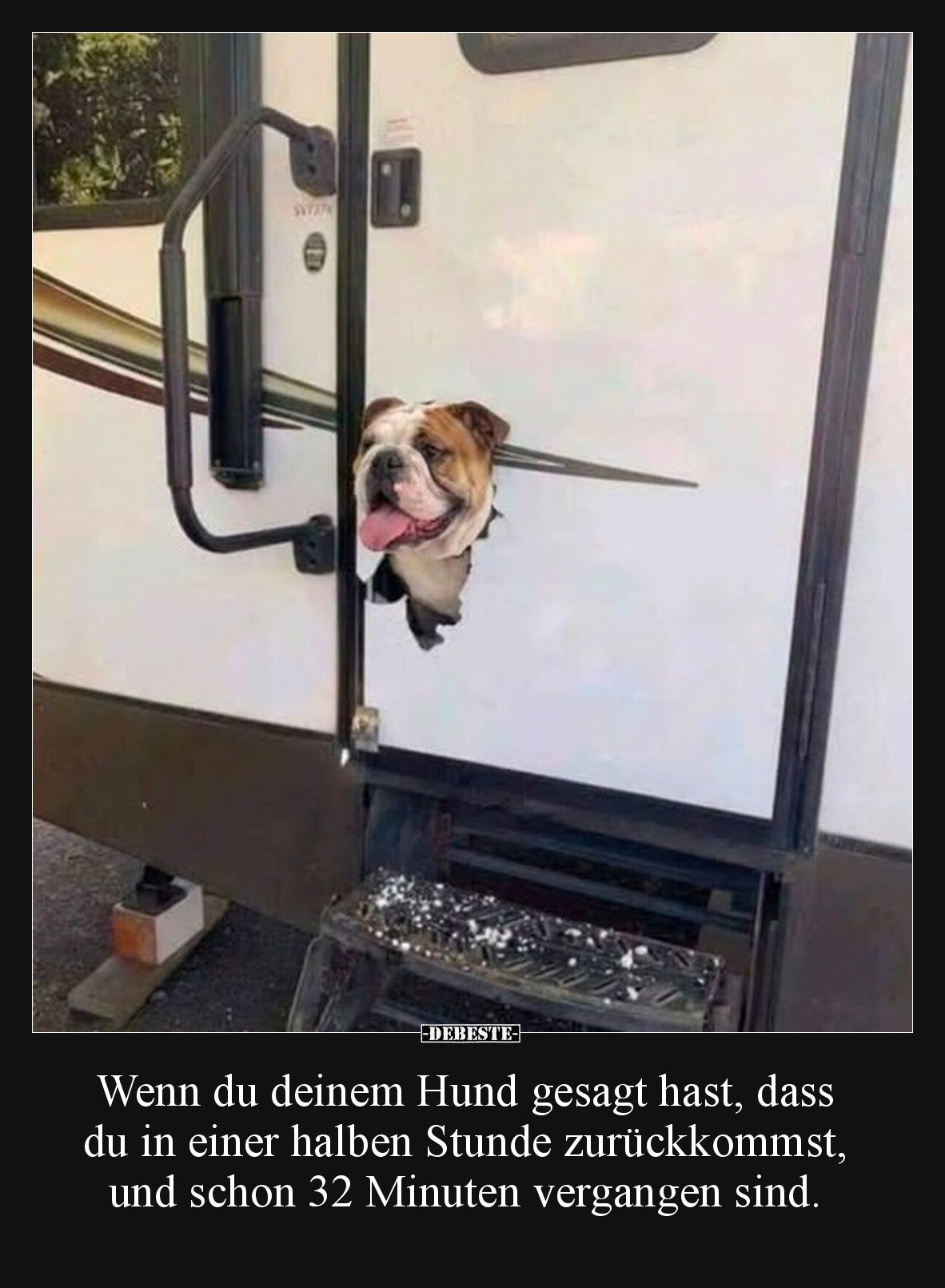 Wenn du deinem Hund gesagt hast, dass du in einer halben.. - Lustige Bilder | DEBESTE.de