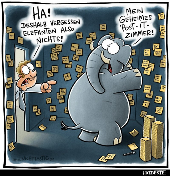 Ha! Deshalb vergessen Elefanten also nichts!.. - Lustige Bilder | DEBESTE.de