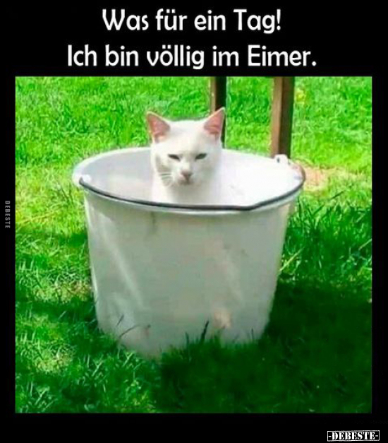 Was für ein Tag!.. - Lustige Bilder | DEBESTE.de