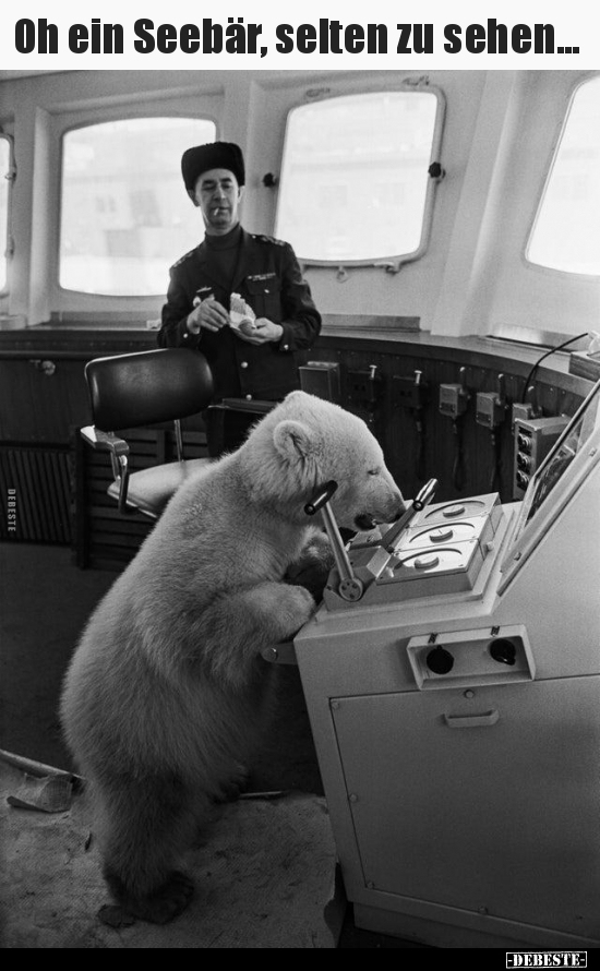 Oh ein Seebär, selten zu sehen...