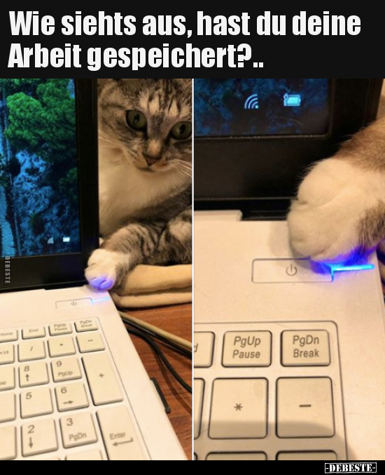 Wie siehts aus, hast du deine Arbeit gespeichert?...