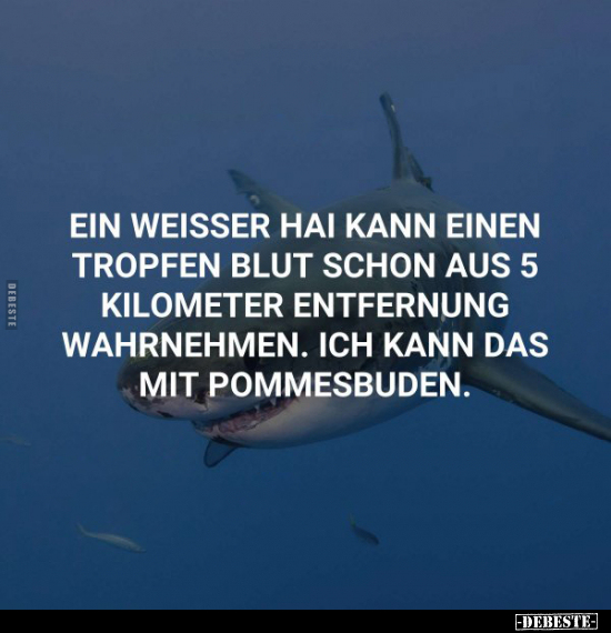 Ein weisser Hai kann einen Tropfen Blut.. - Lustige Bilder | DEBESTE.de