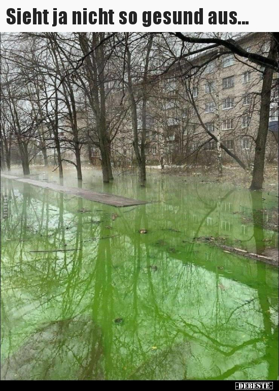 Sieht ja nicht so gesund aus...
