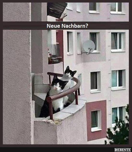  Neue Nachbarn?