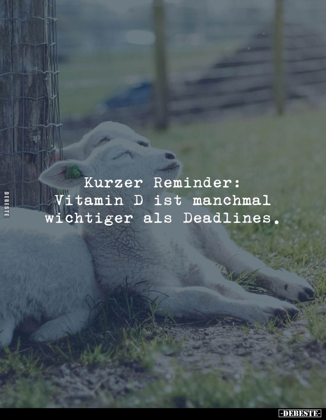 Kurzer Reminder: 
Vitamin D ist manchmal wichtiger als Deadlines.