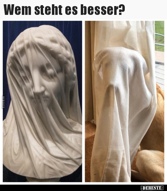Wem steht es besser?..