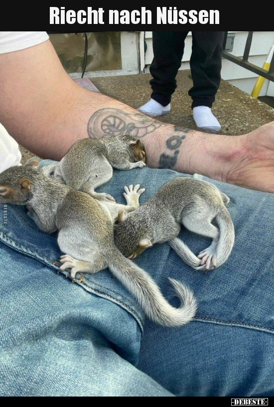 Riecht nach Nüssen..