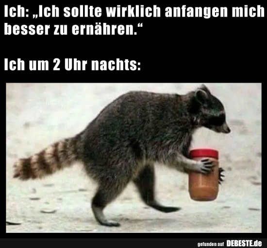 Ich: „lch sollte wirklich anfangen mich besser zu.."