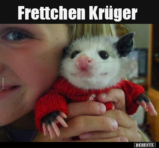 Frettchen Krüger.. - Lustige Bilder | DEBESTE.de