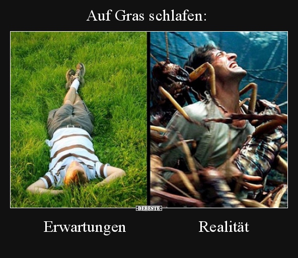 Auf Gras schlafen: Erwartungen/Realität.. - Lustige Bilder | DEBESTE.de