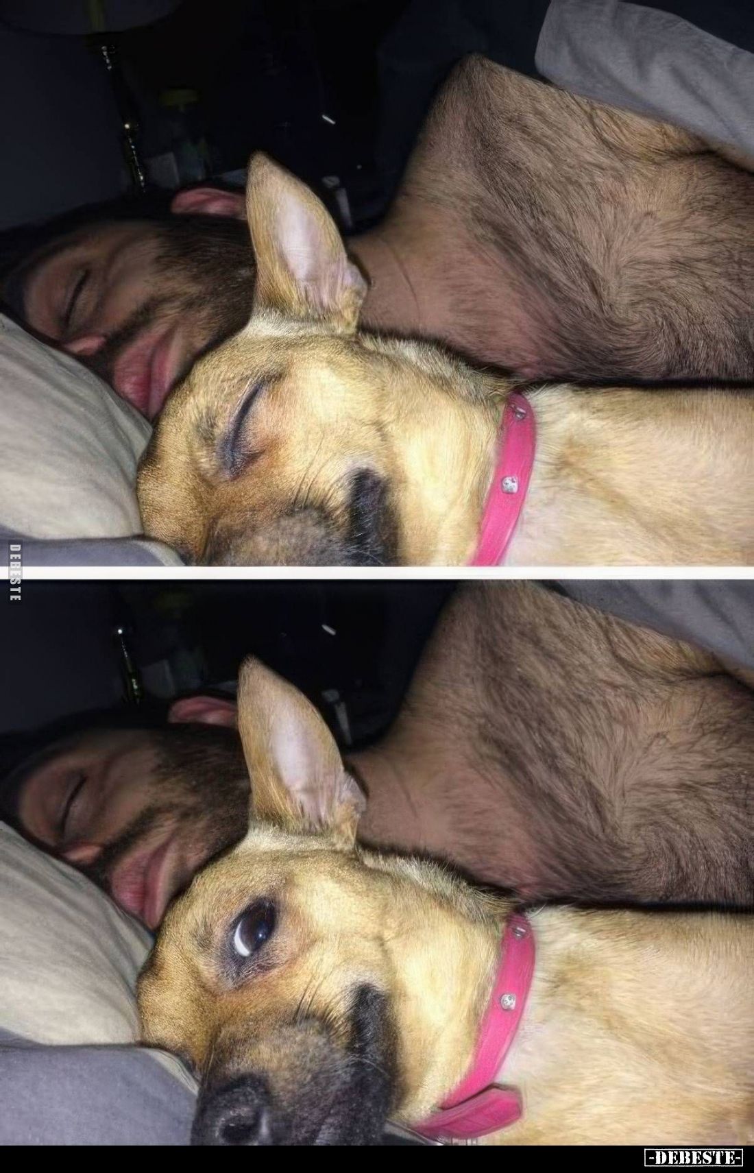  - Lustige Bilder | DEBESTE.de