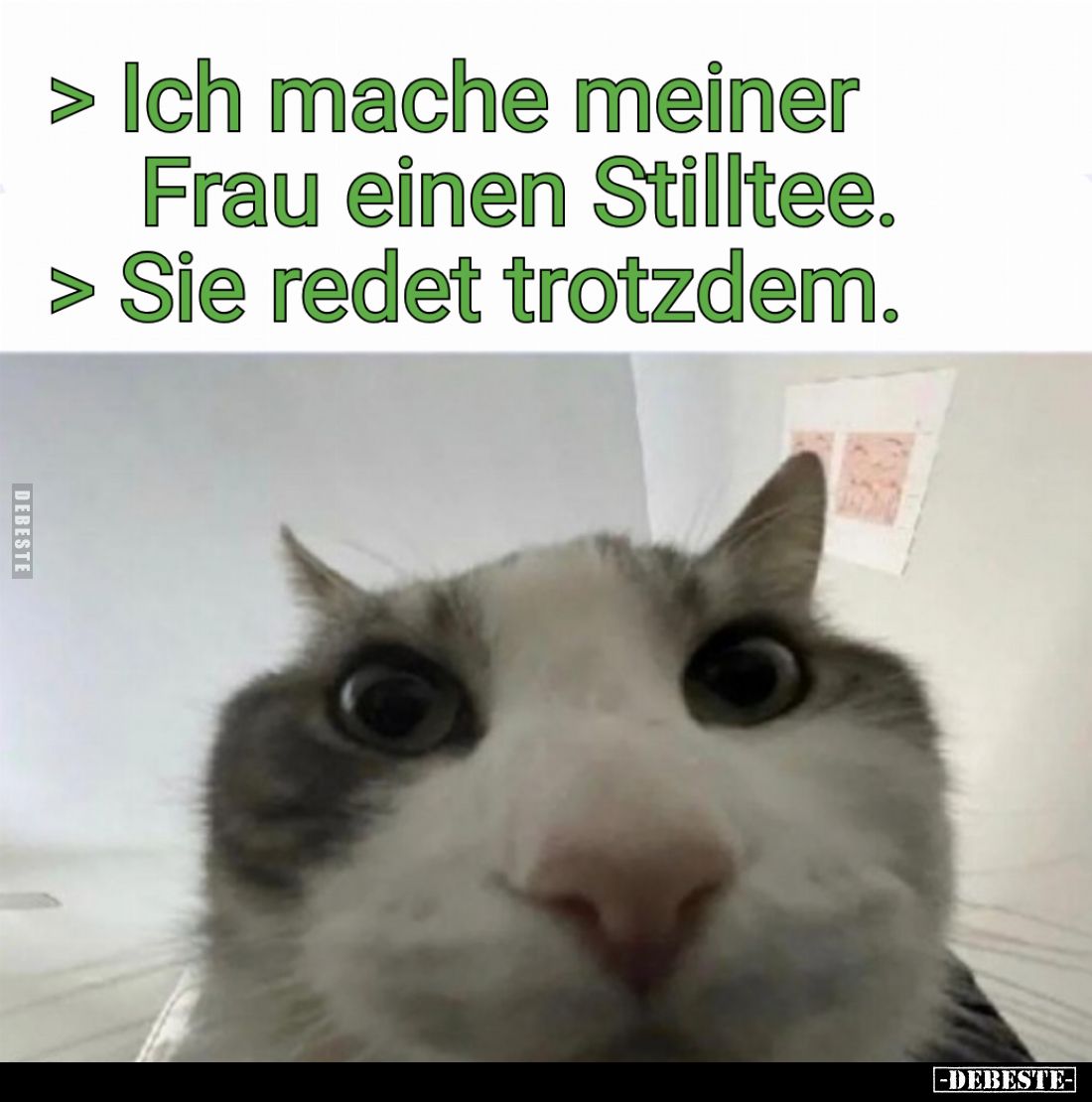 Ich mache meiner Frau einen Stilltee.
Sie redet trotzdem.