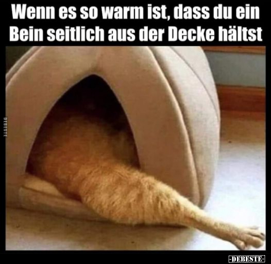 Wenn es so warm ist, dass du ein Bein seitlich aus der.. - Lustige Bilder | DEBESTE.de