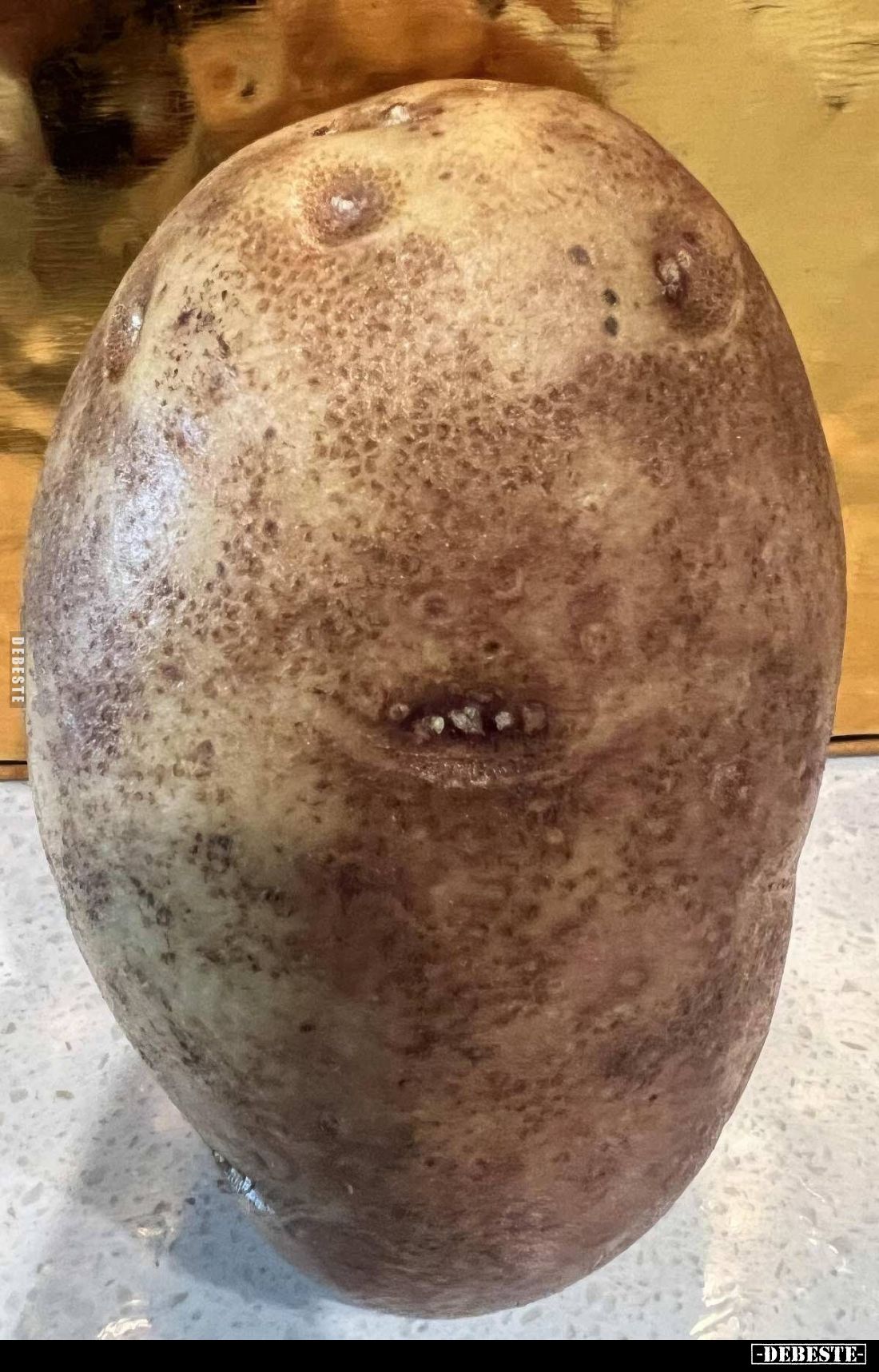  - Lustige Bilder | DEBESTE.de