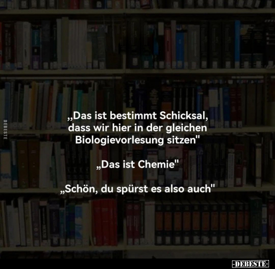 "Das ist bestimmt Schicksal, dass wir hier in der gleichen.." - Lustige Bilder | DEBESTE.de