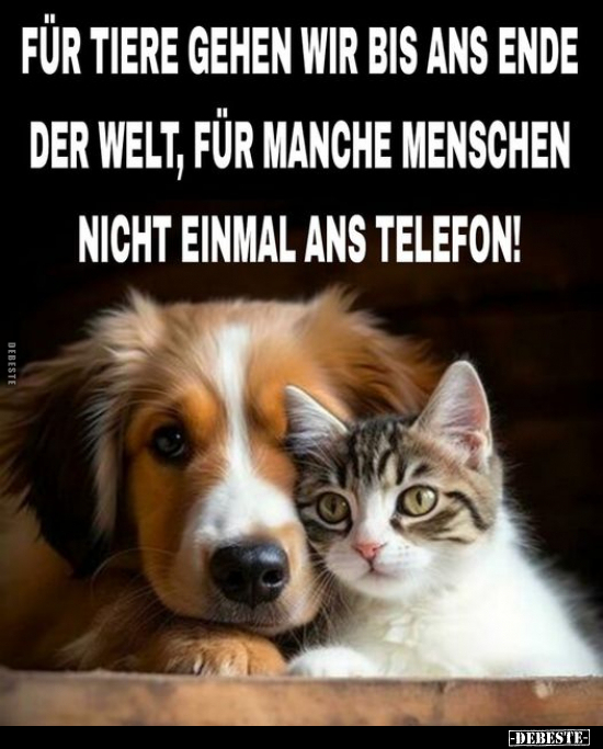 Für Tiere gehen wir bis ans Ende der Welt.. - Lustige Bilder | DEBESTE.de