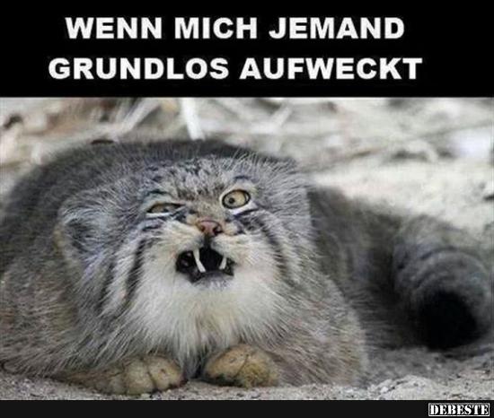 Wenn mich jemand grundlos aufweckt..