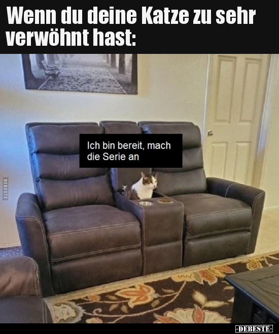 Wenn du deine Katze zu sehr verwöhnt hast.. - Lustige Bilder | DEBESTE.de