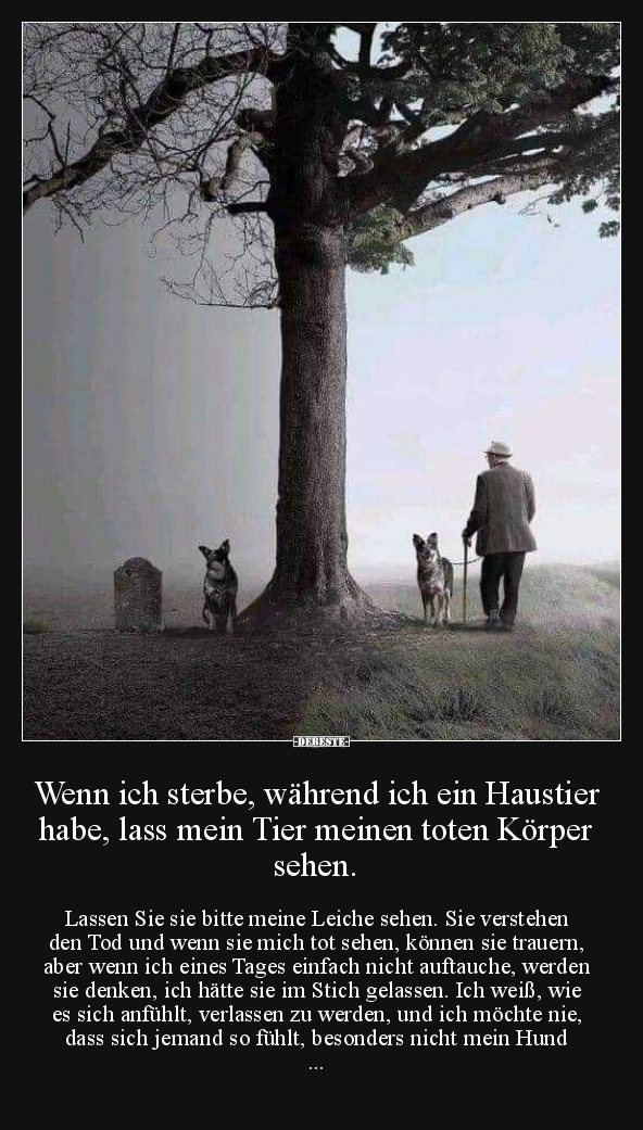 Wenn ich sterbe, während ich ein Haustier habe, lass mein.. - Lustige Bilder | DEBESTE.de