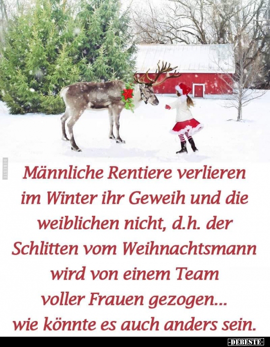 Männliche Rentiere verlieren im Winter ihr Geweih und.. - Lustige Bilder | DEBESTE.de
