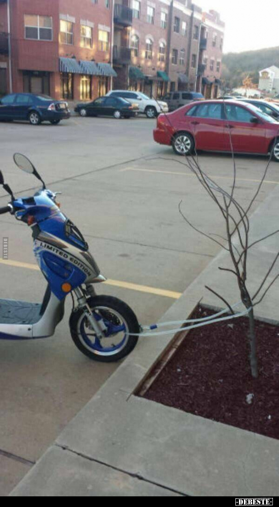  - Lustige Bilder | DEBESTE.de