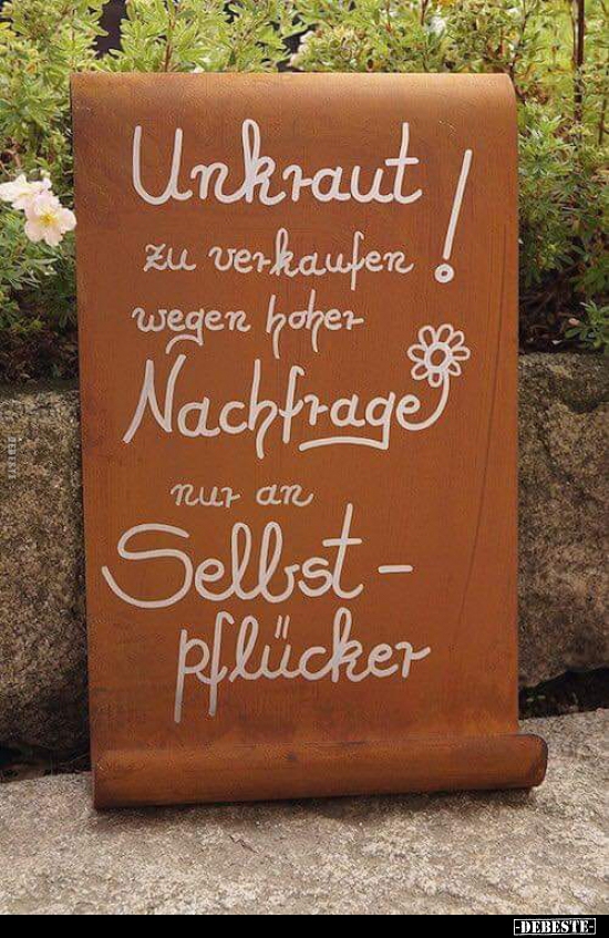 Unkraut zu verkaufen! - Lustige Bilder | DEBESTE.de