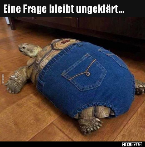 Eine Frage bleibt ungeklärt...