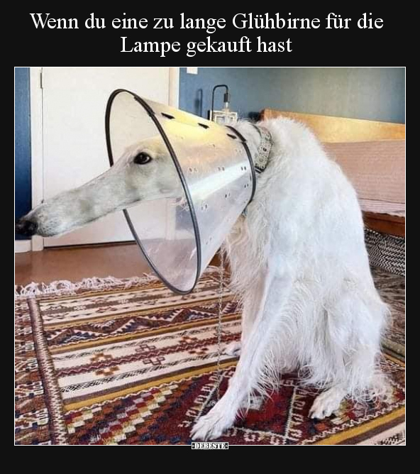 Wenn du eine zu lange Glühbirne für die Lampe gekauft.. - Lustige Bilder | DEBESTE.de