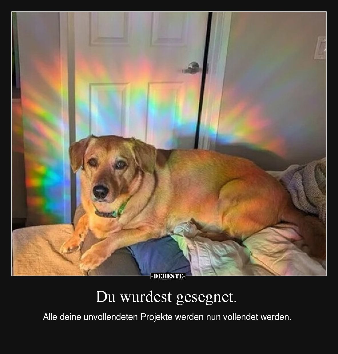 Du wurdest gesegnet.

Alle deine unvollendeten Projekte werden nun vollendet werden.