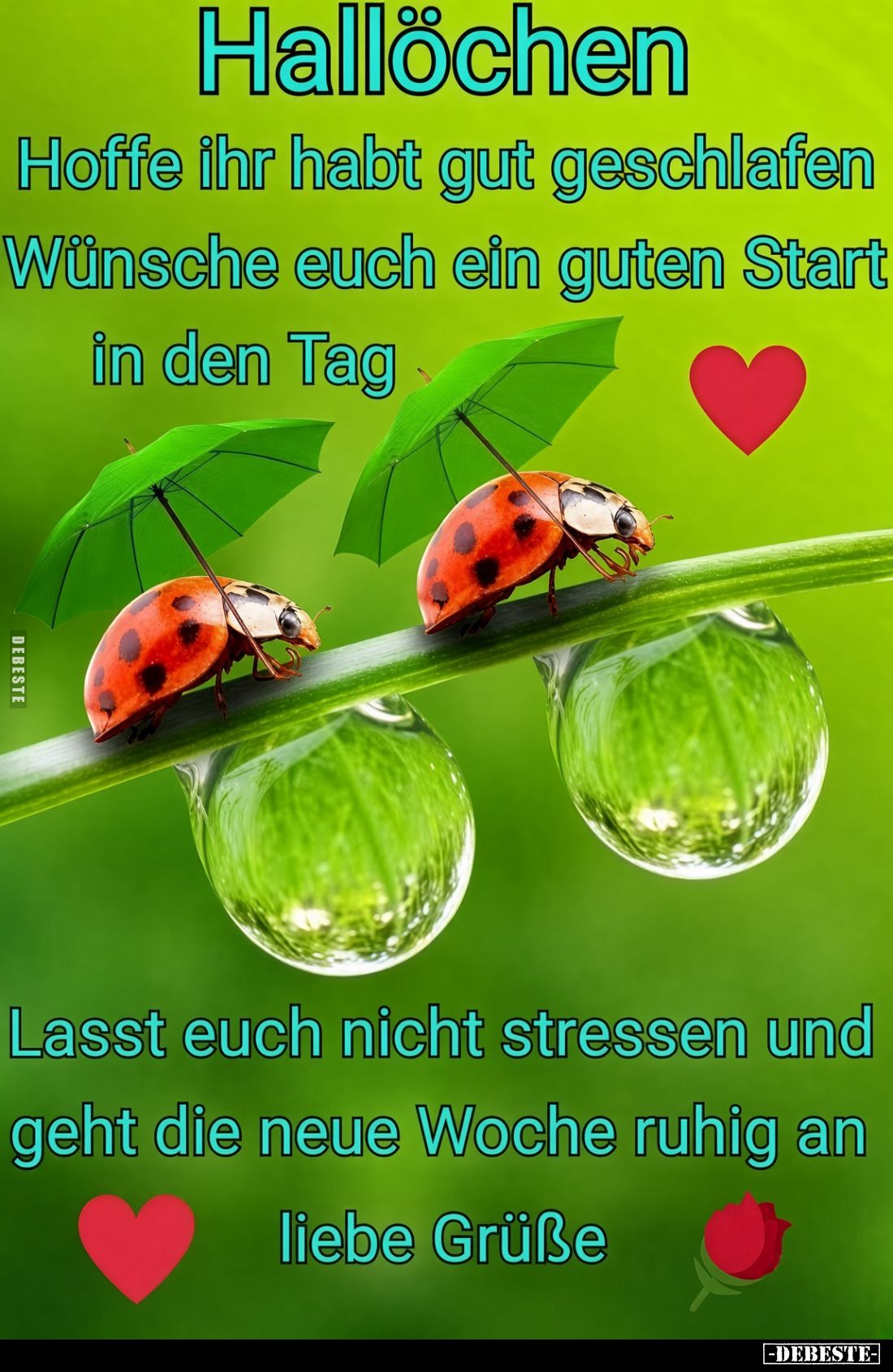Hallöchen
Hoffe ihr habt gut geschlafen Wünsche euch ein guten Start in den Tag
Lasst euch nicht stressen und geht die neue...