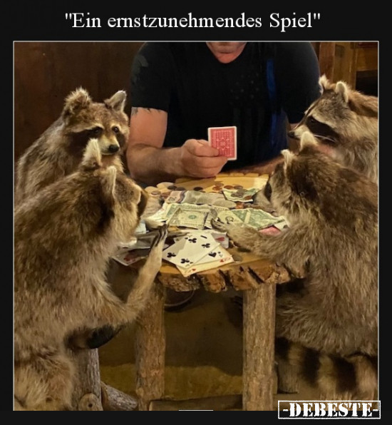  - Lustige Bilder | DEBESTE.de