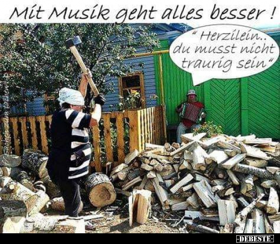 Mit Musik geht alles besser!.. - Lustige Bilder | DEBESTE.de