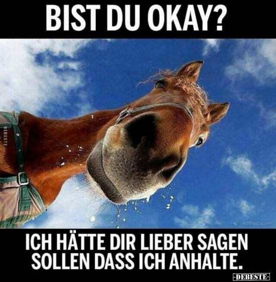 Bist du okay? Ich hätte dir lieber sagen sollen, dass ich.. - Lustige Bilder | DEBESTE.de