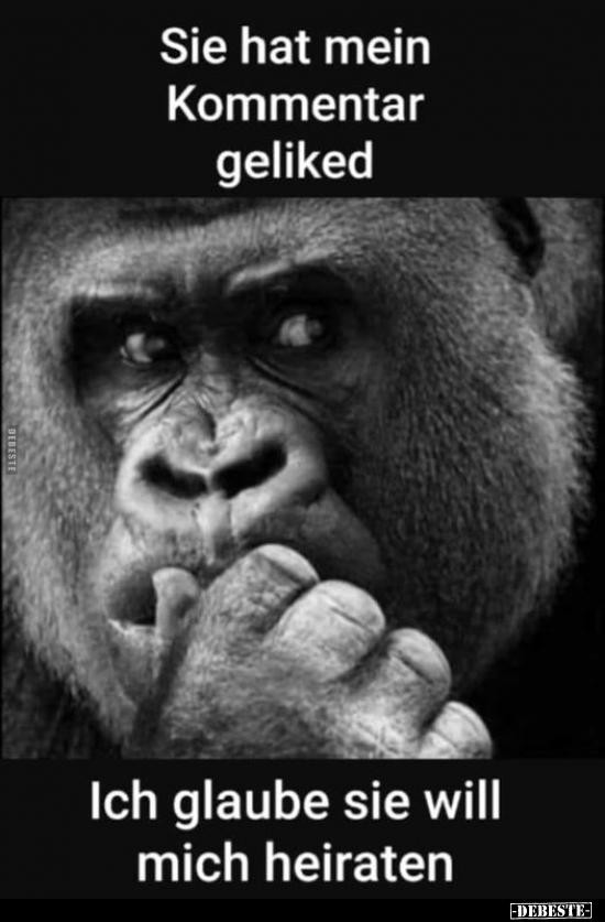 Sie hat mein Kommentar geliked..