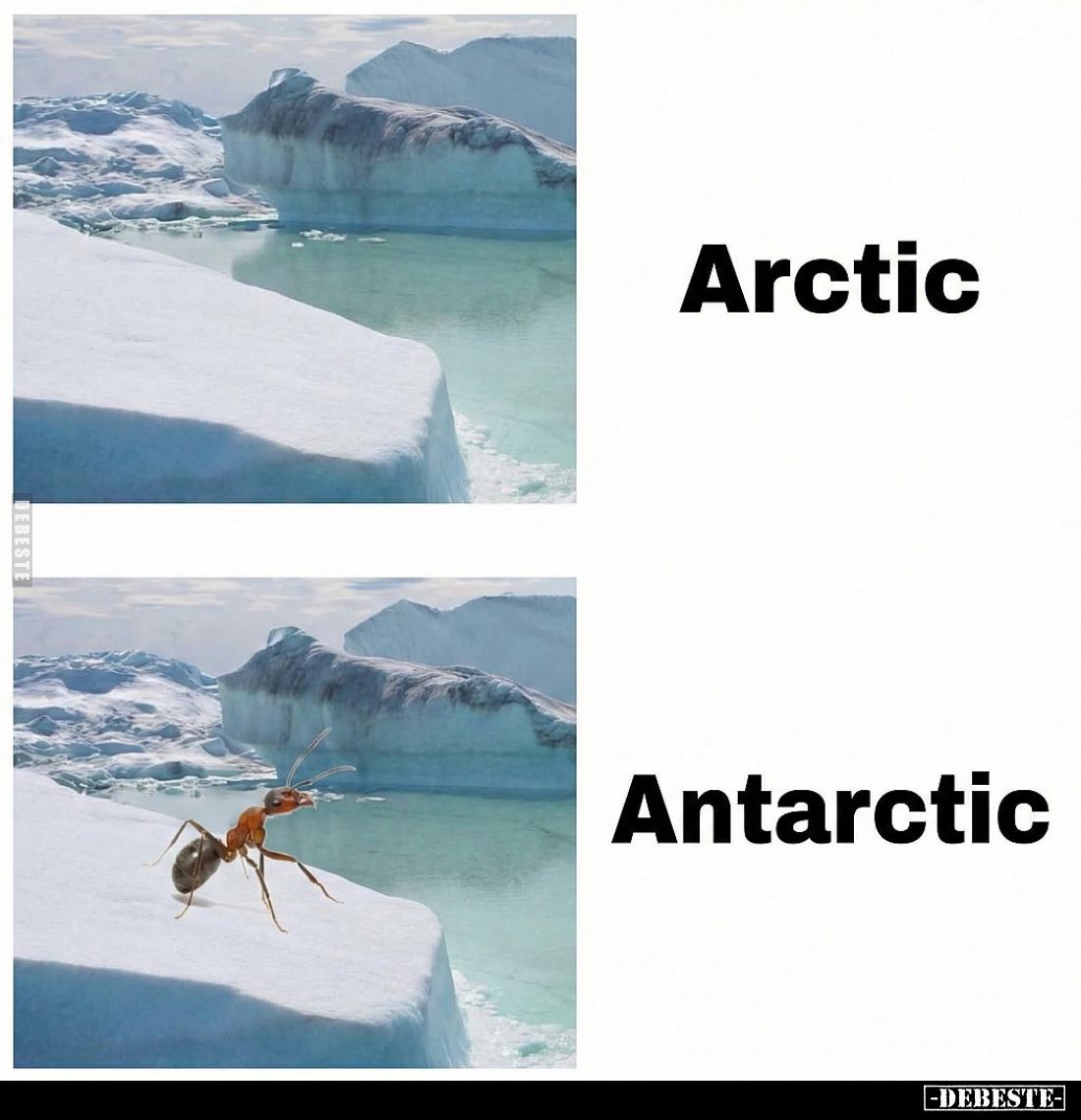  - Lustige Bilder | DEBESTE.de