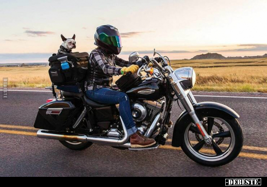  - Lustige Bilder | DEBESTE.de