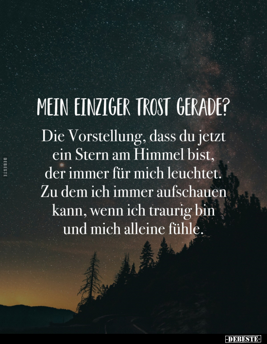 Mein einziger Trost gerade?.. - Lustige Bilder | DEBESTE.de