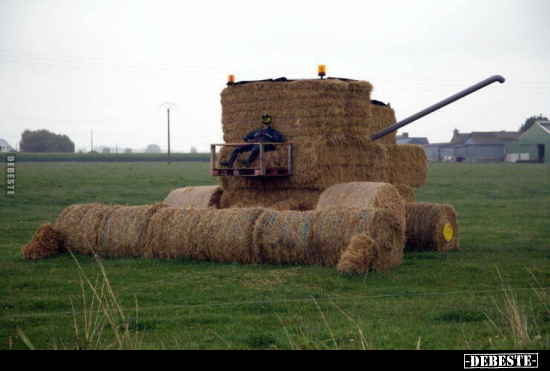  - Lustige Bilder | DEBESTE.de