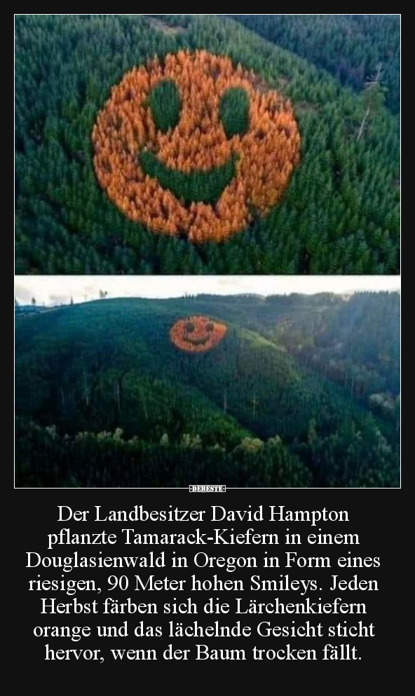 Der Landbesitzer David Hampton pflanzte.. - Lustige Bilder | DEBESTE.de