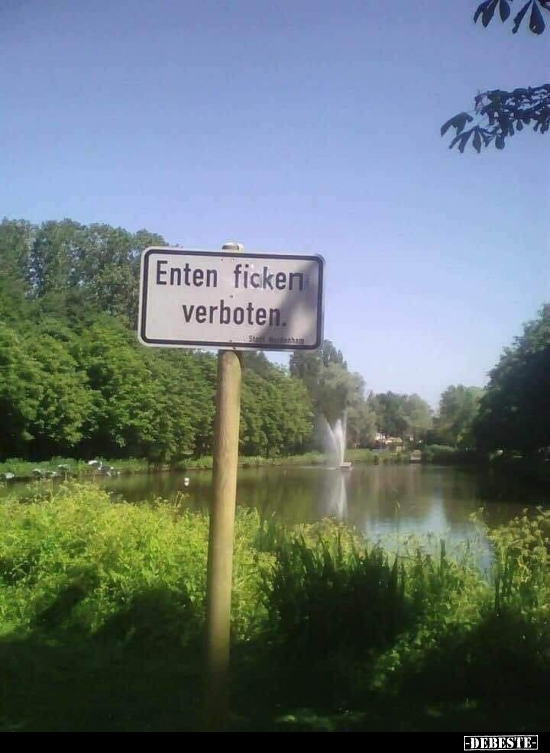 Enten ficken verboten. - Lustige Bilder | DEBESTE.de