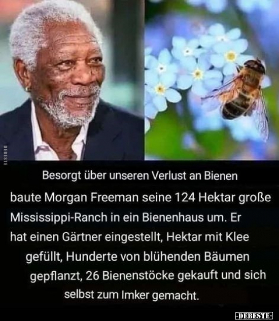 Besorgt über unseren Verlust an Bienen baute Morgan Freeman.. - Lustige Bilder | DEBESTE.de