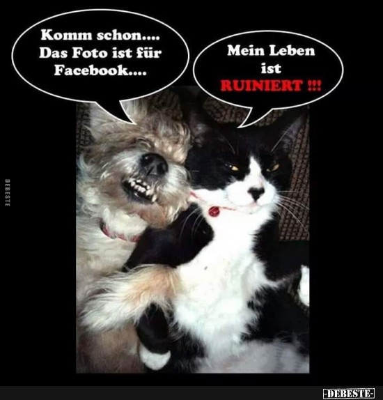 Komm schon... Das Foto ist für Facebook... - Lustige Bilder | DEBESTE.de