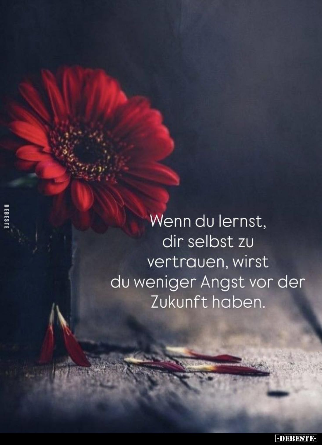 Wenn du lernst, dir selbst zu vertrauen... - Lustige Bilder | DEBESTE.de