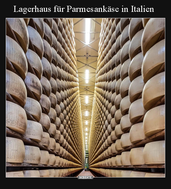 Lagerhaus für Parmesankäse in Italien.. - Lustige Bilder | DEBESTE.de