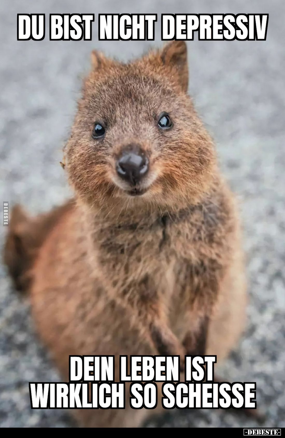 Du bist nicht depressiv, dein Leben ist wirklich so scheiße.
