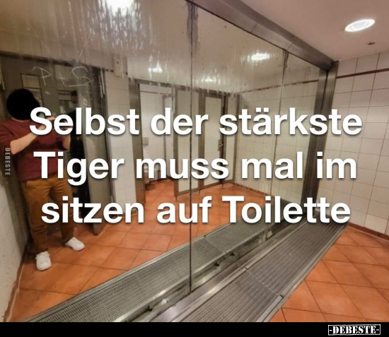 Selbst der stärkste Tiger muss.. - Lustige Bilder | DEBESTE.de