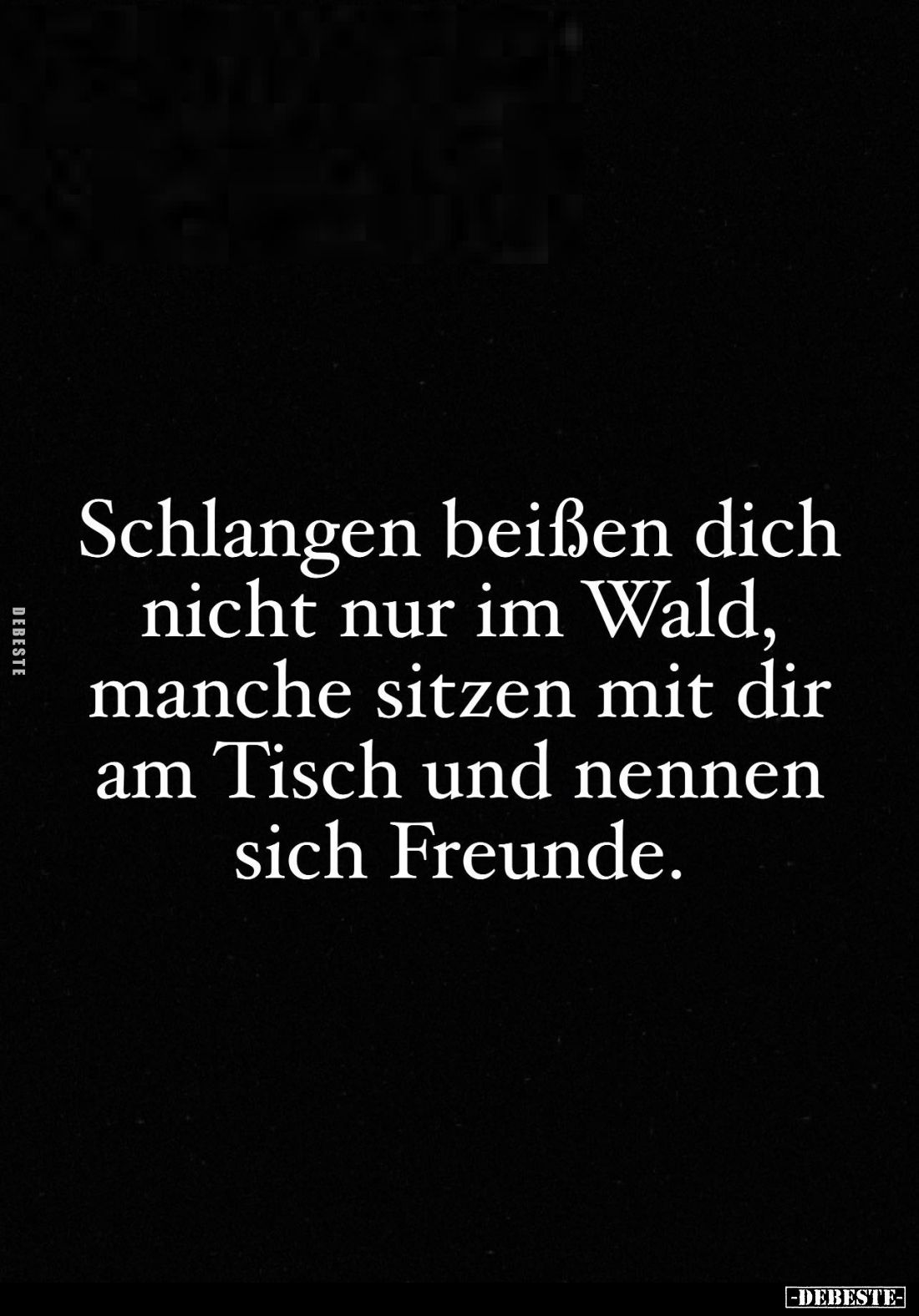 Schlangen beißen dich nicht nur im Wald, manche sitzen mit dir am Tisch und nennen sich Freunde.