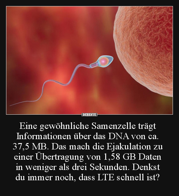 Eine gewöhnliche Samenzelle trägt Informationen über das.. - Lustige Bilder | DEBESTE.de