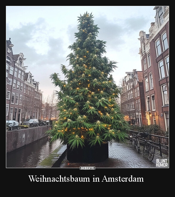 Weihnachtsbaum in Amsterdam.. - Lustige Bilder | DEBESTE.de